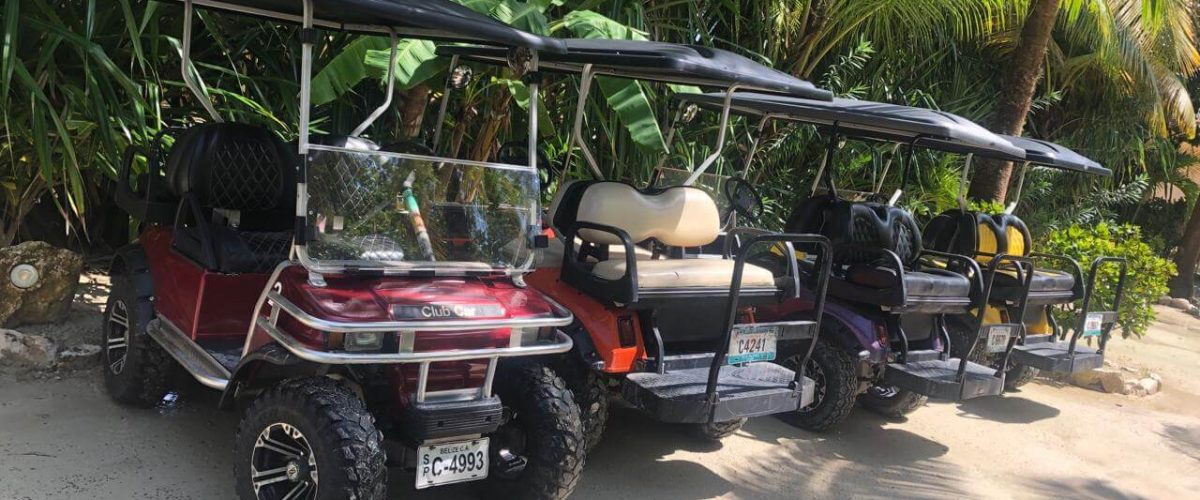 golf-cart-pic-20